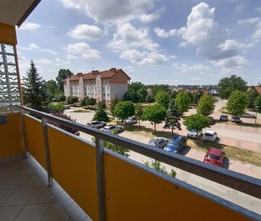 Mieszkanie Elblag wynajem - Photo 6