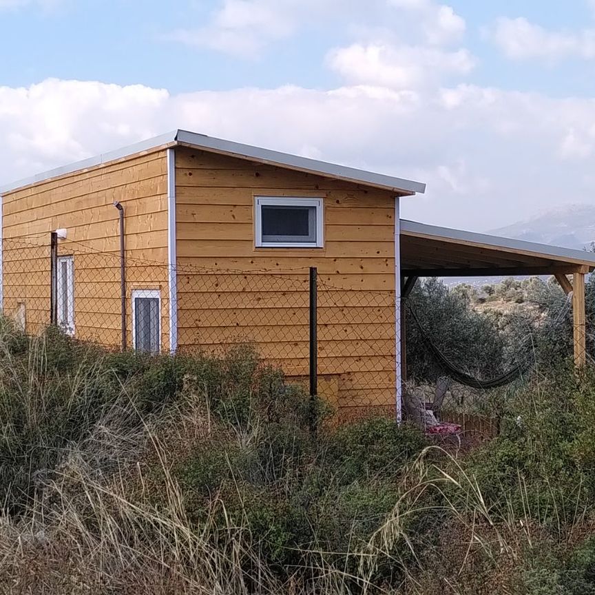 Μονοκατοικία για ενοικίαση - Αμάρυνθος, - Photo 1