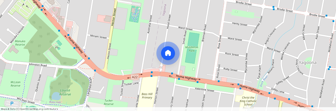 73 Hood St, NSW 2199, Yagoona