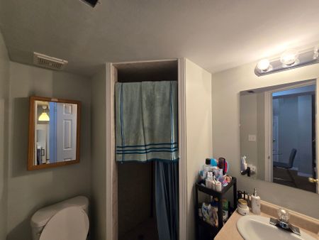 For Lease - 8 St Eugene Street Unit# Lower, Brampton, Ontario - Photo 3