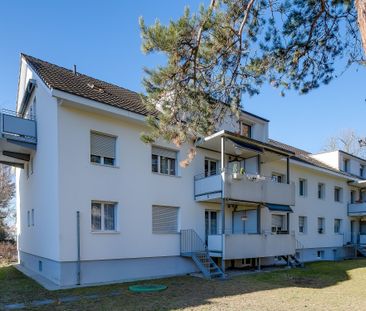 Charmante Wohnung an ruhiger Lage - Photo 4