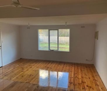 Spacious 3-Bedroom with Polished Timber Floors - Photo 1