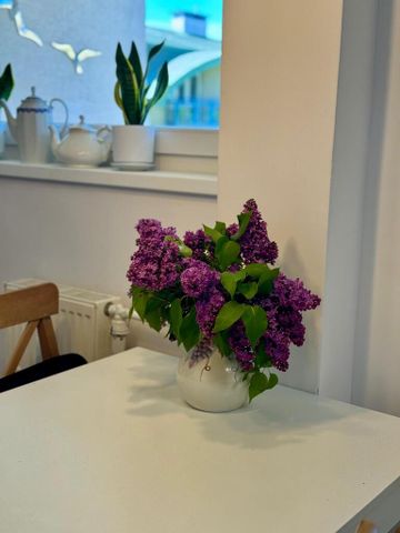 Apartament 2 pokoje 50 m² Wrocław-Stare Miasto - Rynek - Фото 4