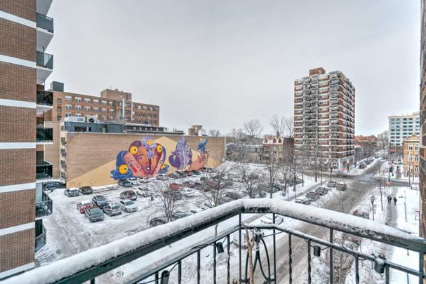 2 Bed 1 Bath - Photo 1