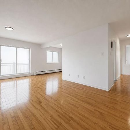 2 CH - 1 SDB - Montréal - $1,950 /mo - Photo 3