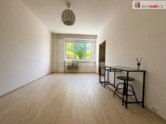 Pronájem prostorné garsoniéry, Ústí nad Labem – Všebořice, cihlový dům, klidná lokalita - Photo 1