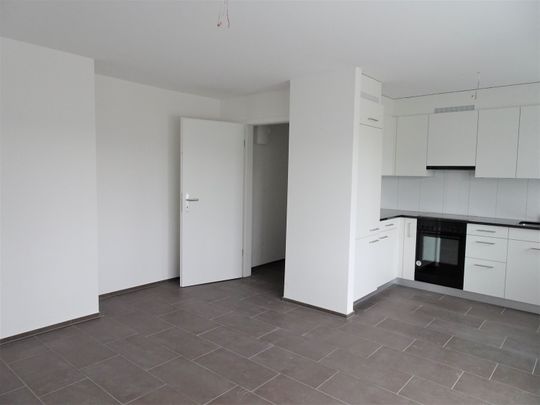 Rent a 2 ½ rooms apartment in Schlieren - Foto 1