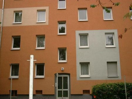Teichhausstr. 20 A, 64287 Darmstadt OT Ost - Photo 4