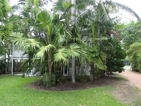 FANTASTIC FAMILY HOME IN MUNDINGBURRA + POOL! - Photo 5