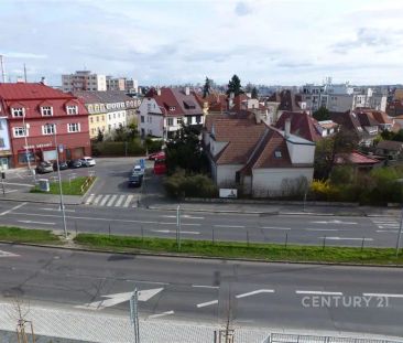 Pronájem bytu 2+1 Praha Michle - Fotografie 3