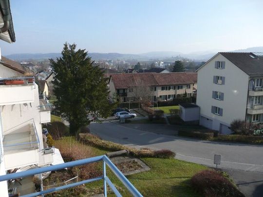 Ruhige, schöne Wohnlage in Oberwinterthur - Photo 1