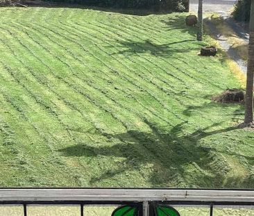 Charming 3BR Home Ready to move in - Photo 5