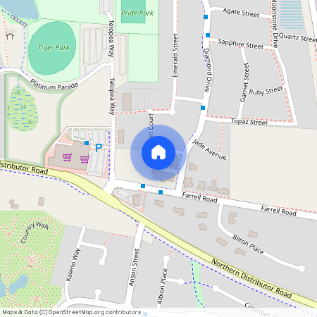 4 Pearl Court, NSW 2800, Orange