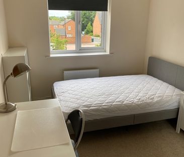 3 Bed Terraced House, Cherry Tree Drive, CV4 - Photo 3