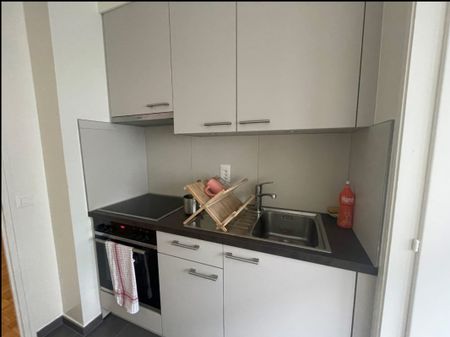Appartement 3 pièces situé au Pâquis - Photo 5