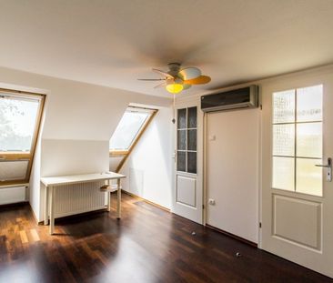 Denevér köz - Fotó 5