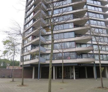 Te huur: Appartement Rietveld Schröderpad in Amsterdam - Photo 5