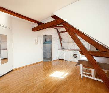 Location Appartement 1 pièce 19m² STE SAVINE 10300 - Photo 1