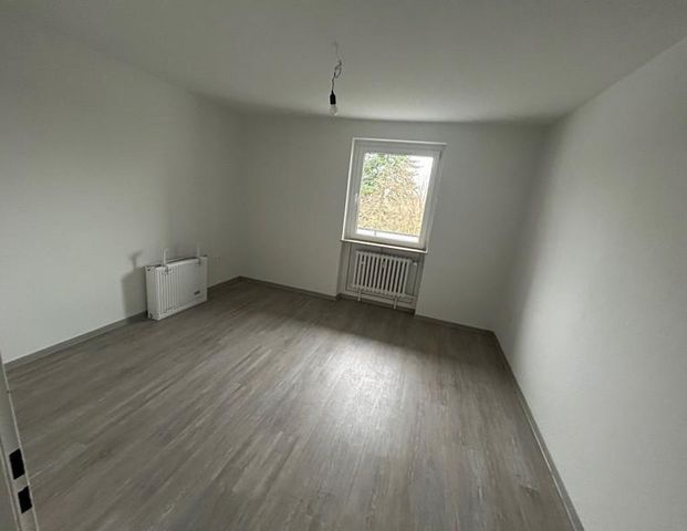 Komplette sanierte 3-Zimmer-Wohnung in ruhiger Lage - Foto 1