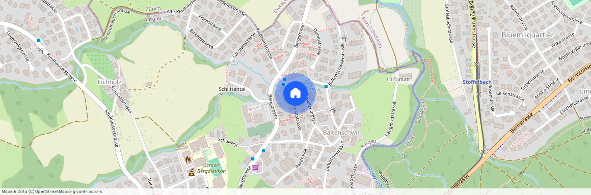 Baltenschwilerstrasse 61, 8962 Bergdietikon