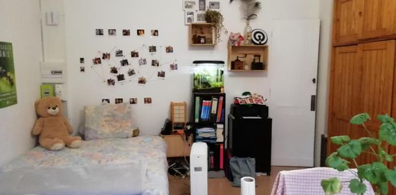 Location Appartement 1 pièce 21m² BORDEAUX 33800 - Photo 2