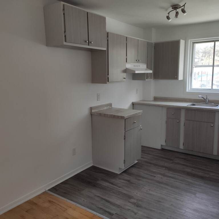 4 ½, 2 Chambres, Centre-sud, Près UQAM - Photo 1