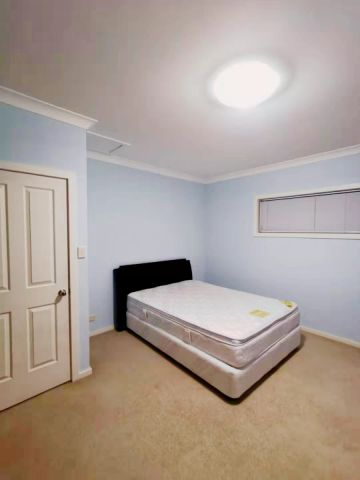 16A Norton St, Sydney - Photo 4