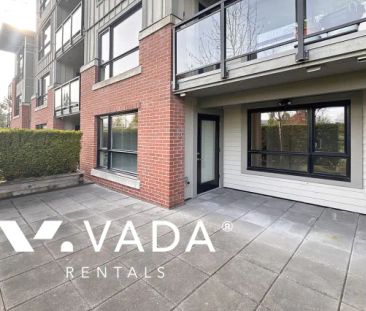 1 Bedroom Apartment For Rent in Burnaby - Photo 1