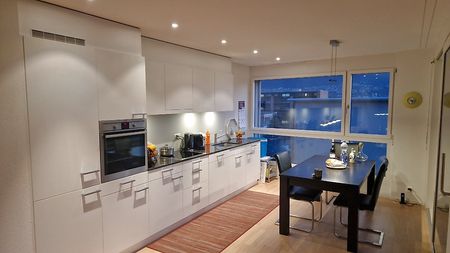 3½ Zimmer-Wohnung in Locarno (TI), möbliert, auf Zeit - Photo 5