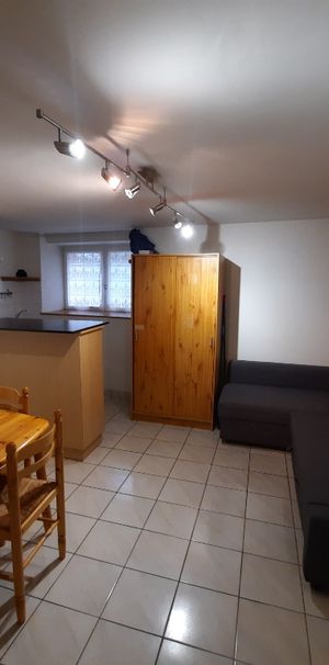 Location Appartement 1 pièce 18m² - Photo 1