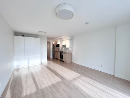 1108 Pendrell Street, Vancouver - Photo 4