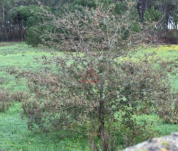 Moradia T4 em Lisboa - Photo 3