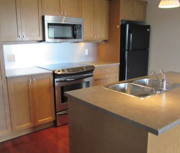 204-555 Franklyn Street - Photo 5