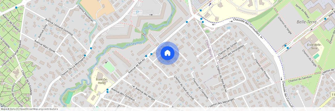 Chemin des Lilas Blancs, 1225 Chêne-Bourg