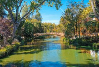 Apartamento T1 KITCHENET