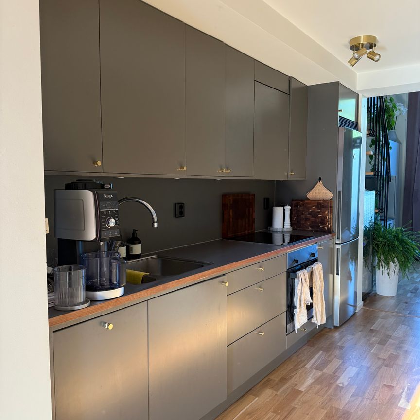 Storseglet, Vega - Foto 1