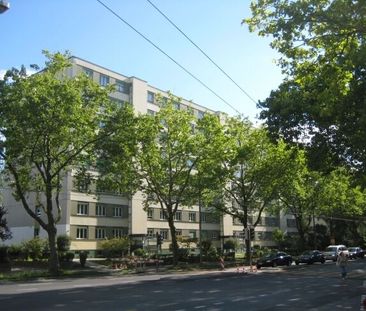 Bern - Wankdorf - Foto 4