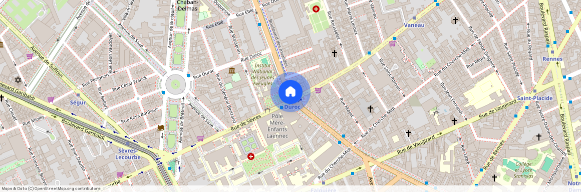 Rue de Sèvres et Bld des Invalides 75007 Paris (7e arrondissement)