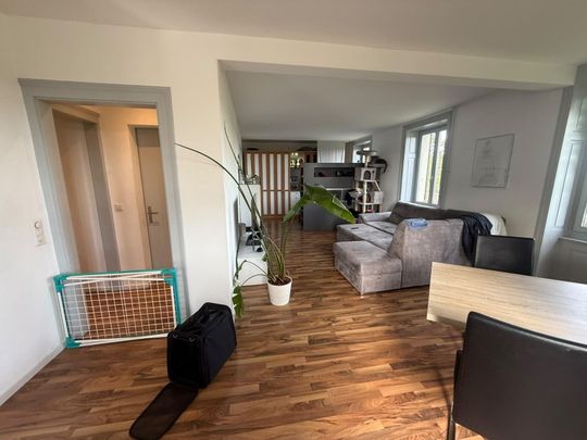 3.0 Zimmerwohnung in Schaffhausen - Foto 1