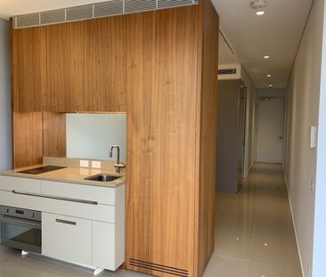 8 Park Lane, Chippendale NSW 2008 - Apartment For Rent | Domain - Photo 4