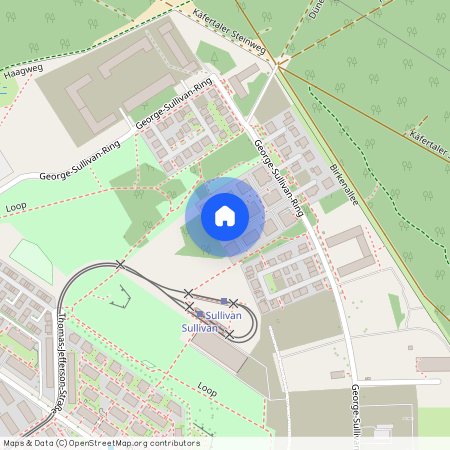 George-Sullivan-Ring 38, 68309, Mannheim