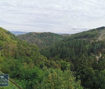 Location Appartement 1 pièce 34m² ST ETIENNE 42100 - Photo 5