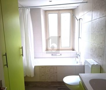 SPACIEUX, EN PLEINE NATURE - Photo 6