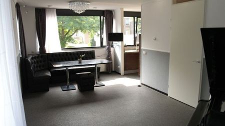 Johannes Buijslaan - Photo 3