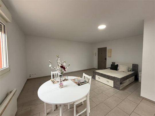 Location Appartement 1 pièce 38m² ST LOUIS 68300 - Photo 1