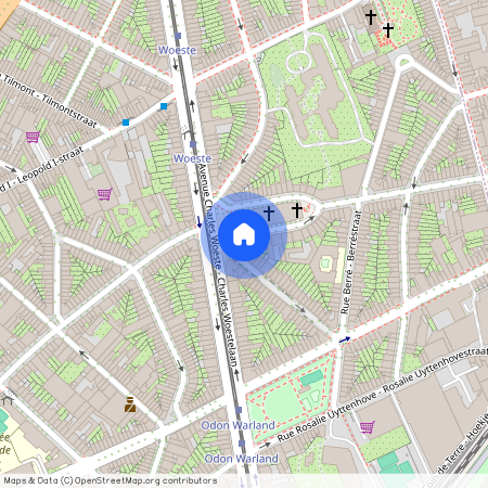 Avenue Notre-Dame de Lourdes, 1, 1090, Jette