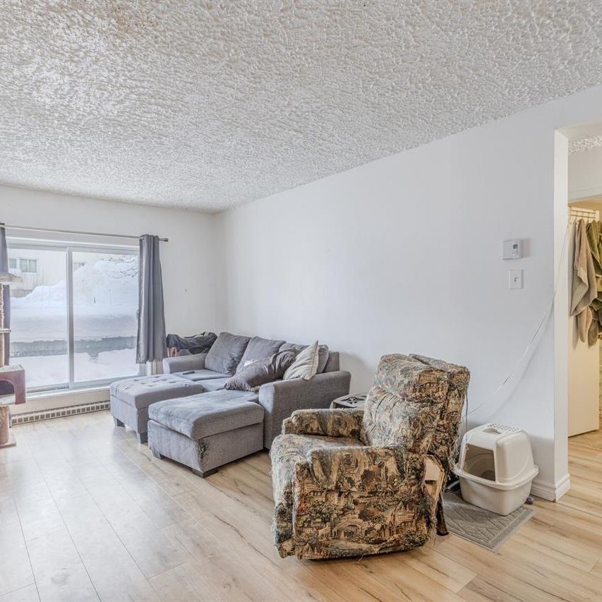 Cardinal-Villeneuve Appartement 3 ½ à Louer Limoilou Juillet 2025 - Photo 1