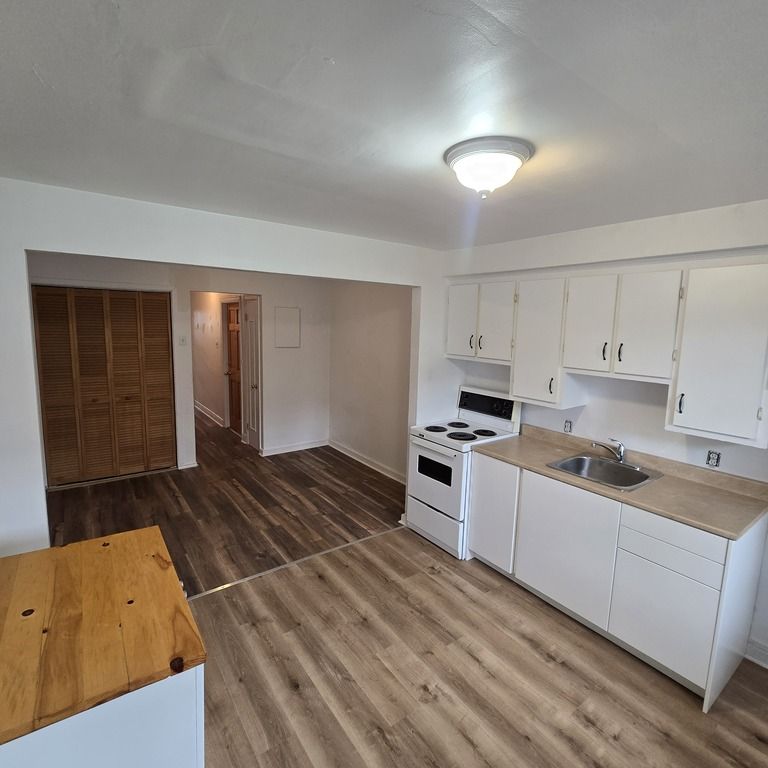 3 1/2 Mercier/Parc Bellerive - Photo 1