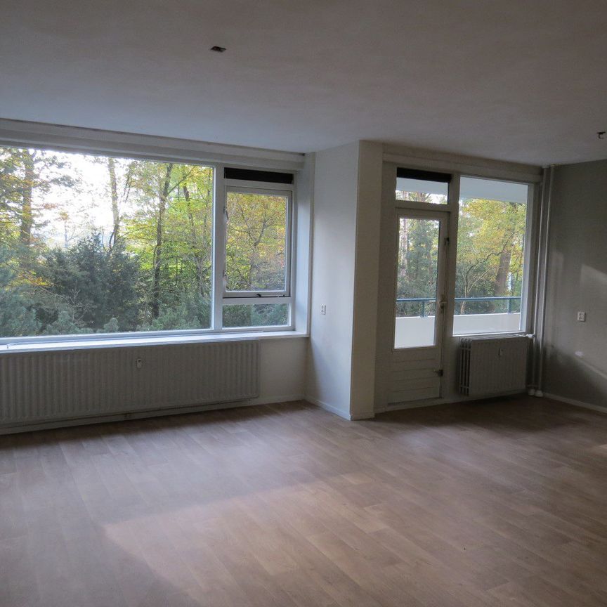 Kluizeweg 474 - Foto 1