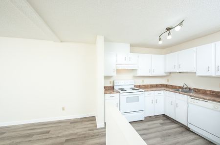 Daly Grove - Photo 3